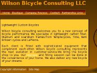 Lightweight Custom Bicycle Lightweight Custom Bicycle