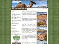 Tours in Morocco, Adventure and Moroccan Best Destinations in 4x4 Excursions - Vacations in Morocco :: Ligne d'Aventure Tours in Morocco, Adventure and Moroccan Best Destinations in 4x4 Excursions - Vacations in Morocco :: Ligne d'Aventure