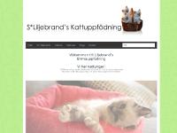 liljebrands.se FÖRRA, NÄSTA , SLUMPAD