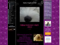 LilySu Angel Kennel - www.lillysuangels.se LilySu Angel Kennel - www.lillysuangels.se