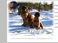 index.htlm index.htlm