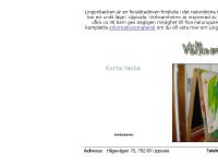 liten lingonbacken.se skärmbild