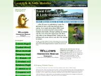  The ordinary out of the blue, Broad-bodied Chasers at Chaddesley Wood, Bluebells at Chaddesley Wood, TypePad