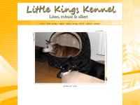 Welcome to Little King