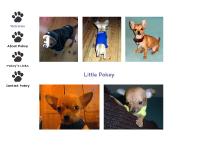 Welcome to Little Pokey's world