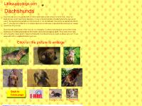 littlepuppydogs.com pictures, dachshund, images littlepuppydogs.com pictures, dachshund, images