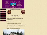 Little Willys Wonders- Tannery Taxidermy