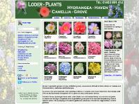 at Loder-Plants.com