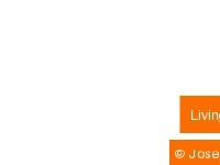 Living Dazed - Portfolio Living Dazed - Portfolio