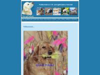 Livsglädjens kennel - Hunduppfödare med Golden Retrievers Livsglädjens kennel - Hunduppfödare med Golden Retrievers