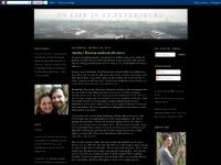 lizinstpete.blogspot.com Background, Advice for Missionaries, Typical Day