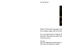 liten ljunge.se skärmbild