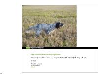 liten ljunguddens.se skärmbild