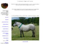 Lochlands Madonna, Lochlands Golden Flute, Lochlands Moonlight Serenade, Lochlands Royal Flute Lochlands Madonna, Lochlands Golden Flute, Lochlands Moonlight Serenade, Lochlands Royal Flute