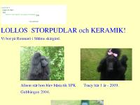 liten loggert.se skärmbild liten loggert.se skärmbild