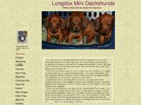 Longdox Mini Dachshunds Longdox Mini Dachshunds
