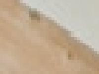 visa lovstastuteri.com data visa lovstastuteri.com data