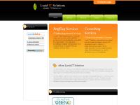 luciditsol.com Lucid IT Solutions, jobs, careers