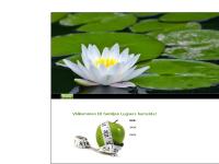 liten lugners.se skärmbild