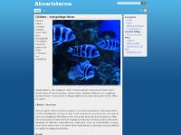 Ciklider - mångsidiga fiskar - Akvaristerna