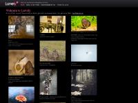 lurvely.com lurvely.com