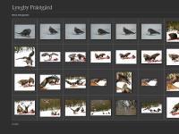 lyngbyprastgard.se Lyngby Pr