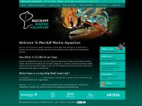 Macduff Marine Aquarium Macduff Marine Aquarium