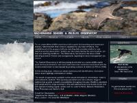 Machrihanish seabird & Wildlife Observatory