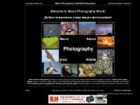 macro-photo  macro-photo