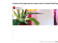 Madhuban Tandoori Restaurant & Take-away in Liss, 94 Station Road, Liss, Hampshire, GU33 7AQ, Offering Instant Online Table booking and Take-away food Ordering Facility Madhuban Tandoori Restaurant & Take-away in Liss, 94 Station Road, Liss, Hampshire, GU33 7AQ, Offering Instant Online Table booking and Take-away food Ordering Facility