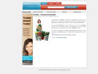 Fleuriste Fleuriste : L'annuaire des fleuristes