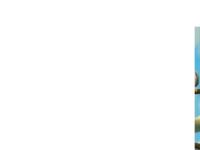 statistik för magnuswahlberg - Magnus Wahlberg