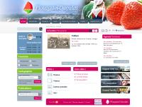 mairie-plougastel.fr - mairie-plougastel