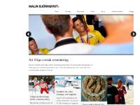 gå till webbplats gå till webbplats