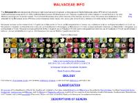 malvaceae.info Index to Vernacular Names of Malvaceae, by language, by genus