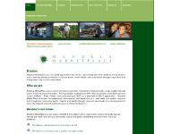 Home - Mandela MarketPlace
