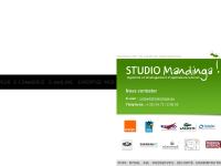 mandinga.eu ingenieur, ingenierie, web mandinga.eu ingenieur, ingenierie, web