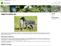 liten manfares.se skärmbild