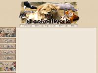 manimalworld.net manimalworld.net
