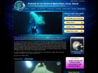 Education and Advocacy for the Manta Rays in Kona Hawaii Education and Advocacy for the Manta Rays in Kona Hawaii