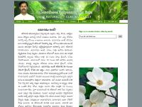 manthenasatyanarayanaraju.org mantenasatyanarayanaraju, manthena satyanarayana raju, mantena satyanarayana raju