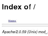 Index of / Index of /