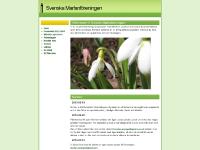 Svenska Marfanföreningen Svenska Marfanföreningen