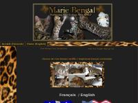 mariebengal.com mariebengal.com