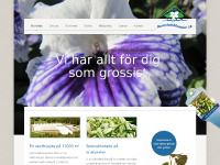 cyklamen julstjärna begonia pelargon krukväxter blommande ... cyklamen julstjärna begonia pelargon krukväxter blommande ...