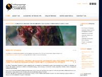  The Team, Trust, NGO or Business?, Volunteering