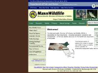 MassWildlife - Home Page MassWildlife - Home Page