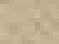  Matchpoint's Kennel, Kennel Matchpoint's, Engelsk Cocker Spaniel, cocker spaniel