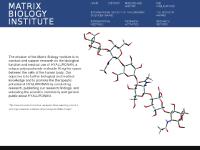 Matrix Biology Institute