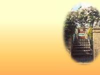 Maydene welcome to my world of fields and gardens